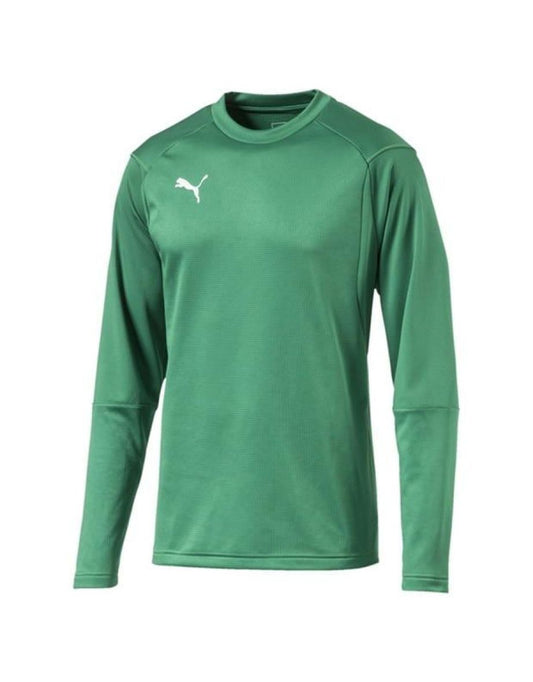 Felpa da allenamento Puma da uomo in verde