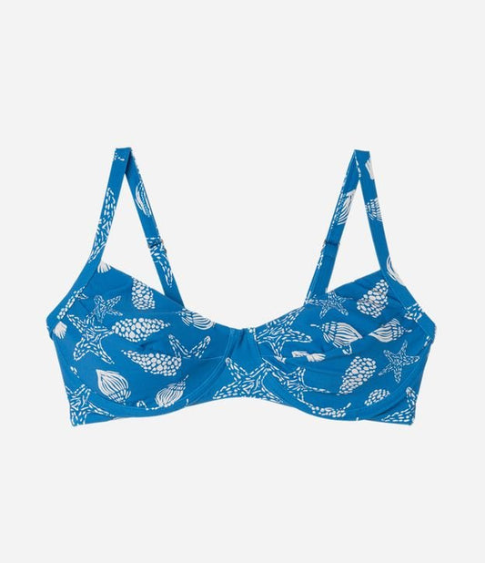 Top bikini a mezza coppa con stampa a conchiglia blu - Curve e taglie forti