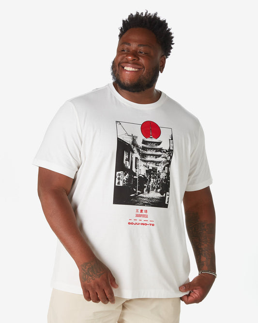 Men's Plus Size Short Sleeve T-Shirt Goju-No-To White Allman By Riachuelo