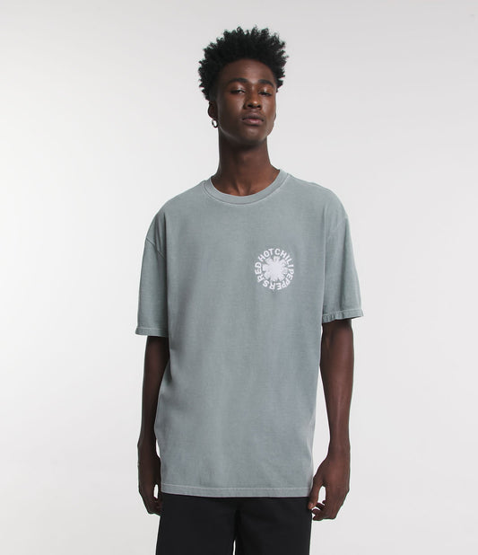 Camiseta Relaxed Fit em malha verde lavada com estampa do Red Hot Chili Peppers
