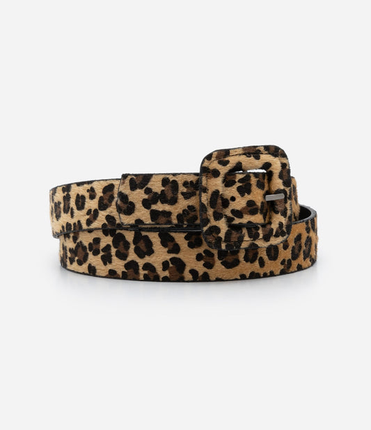 Cintura media in materiale sintetico con stampa animale leopardata Curve & Plus Size Marrone