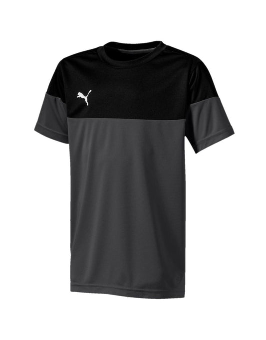 Camiseta esportiva Puma FtblPLAY Kids Fitness Training