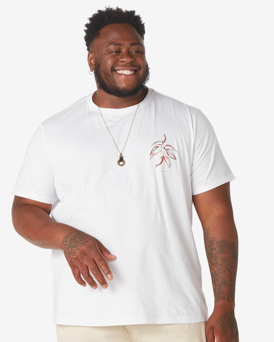 Camiseta masculina Plus Size de manga curta com estampa Nature em branco da Allman para Riachuelo