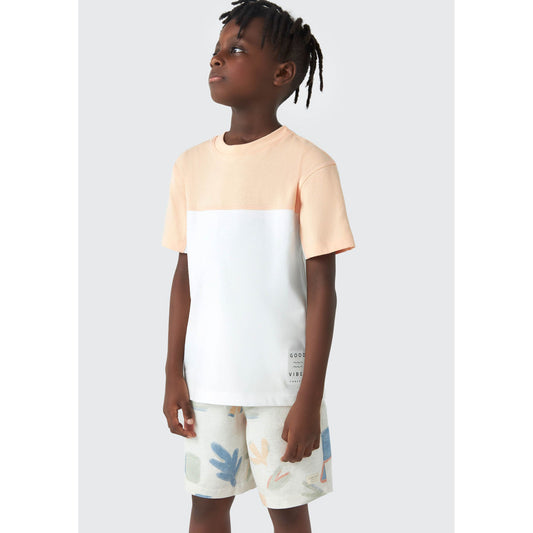 Kids Raglan T-Shirt with Print for Boys