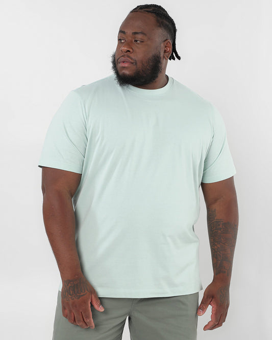 Camiseta de manga corta para hombre en color verde sólido | Allman By Riachuelo