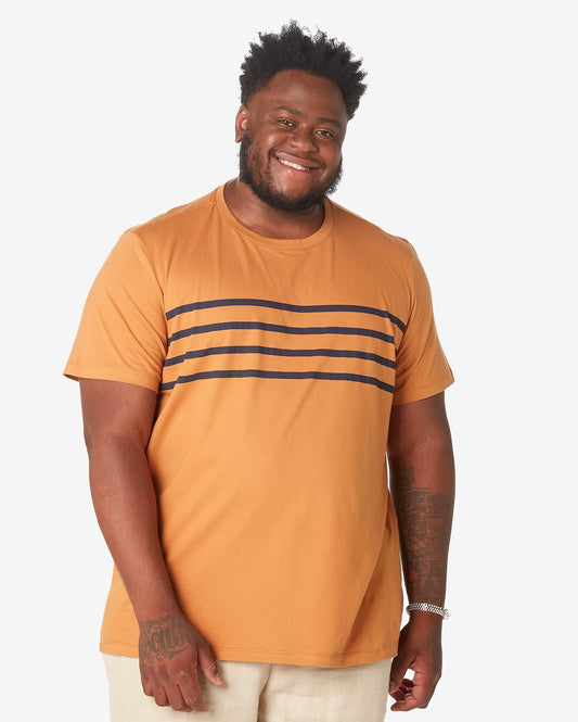 Men's Plus Size Short Sleeve Striped T-Shirt in Brown Caramel - Allman by Riachuelo