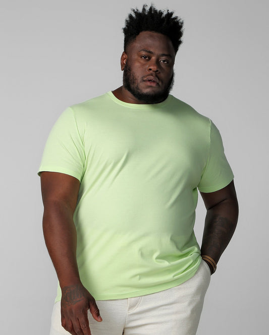 Men's Plus Size Short Sleeve Green T-Shirt by Allman, Riachuelo