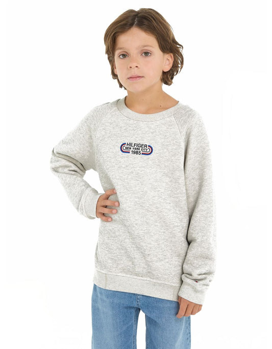 Moletom cinza de trilha para meninos