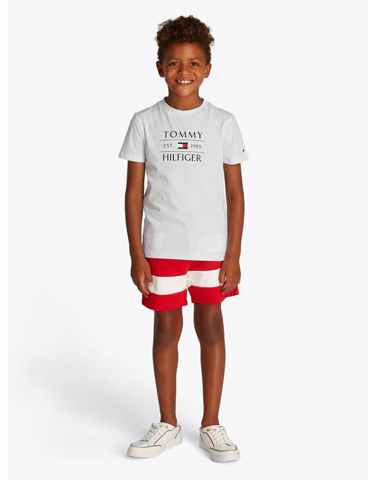 Camiseta Tommy Hilfiger Flag para meninos, branca