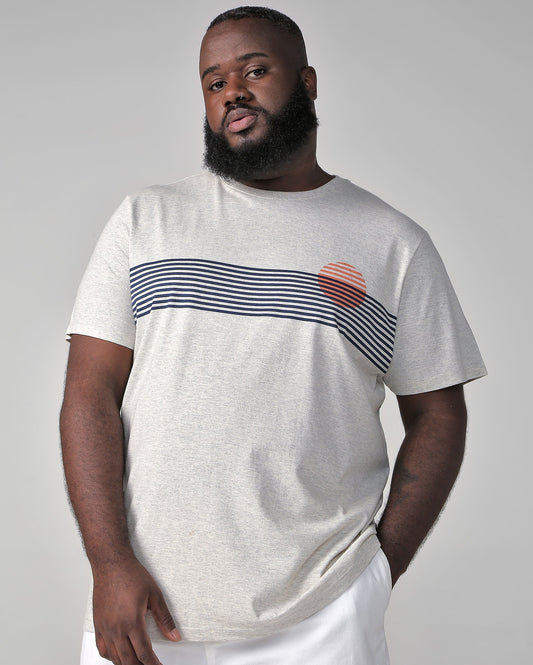 Men's Plus Size Short Sleeve T-Shirt with Gray Striped Design by Allman for Riachuelo