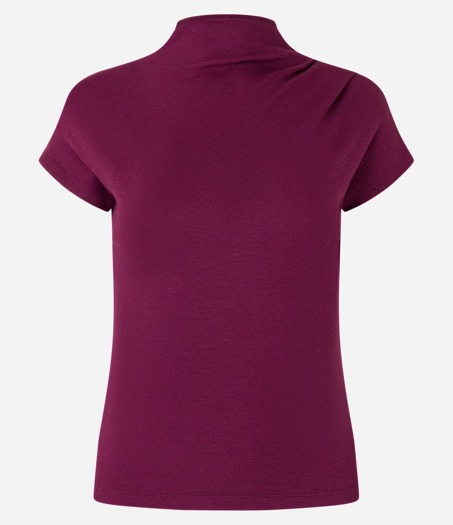 Blusa de Viscose Lisa com Gola Alta na Cor Vinho