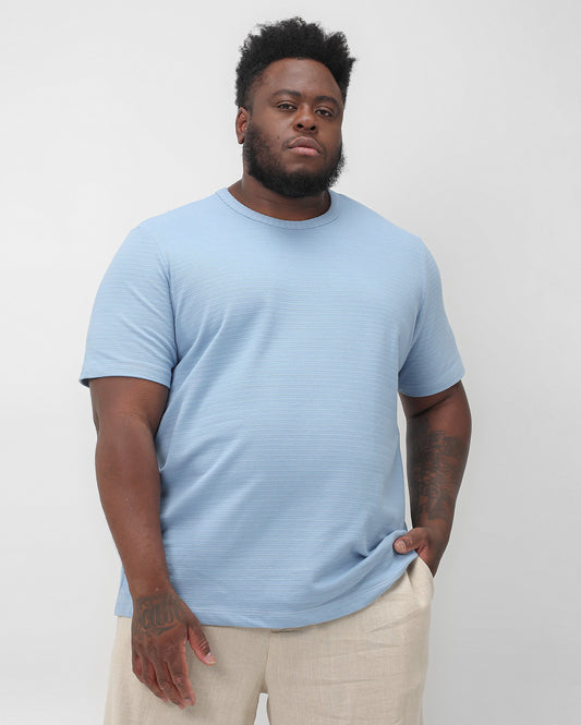 Maglietta Plus Size a manica corta testurizzata da uomo in blu | Allman By Riachuelo
