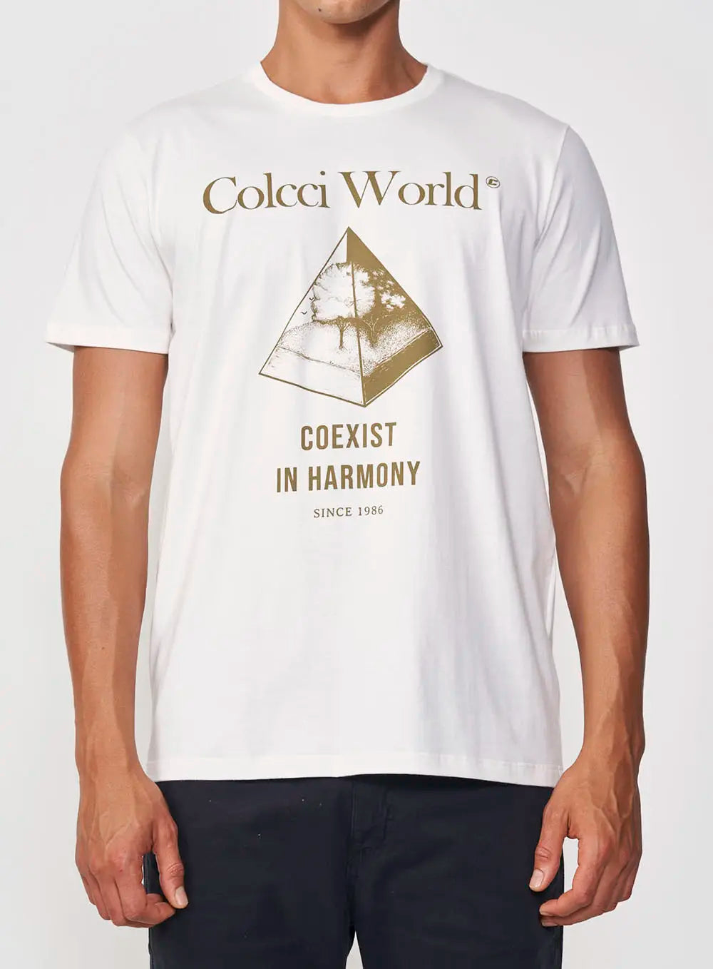 Maglietta Coexist World