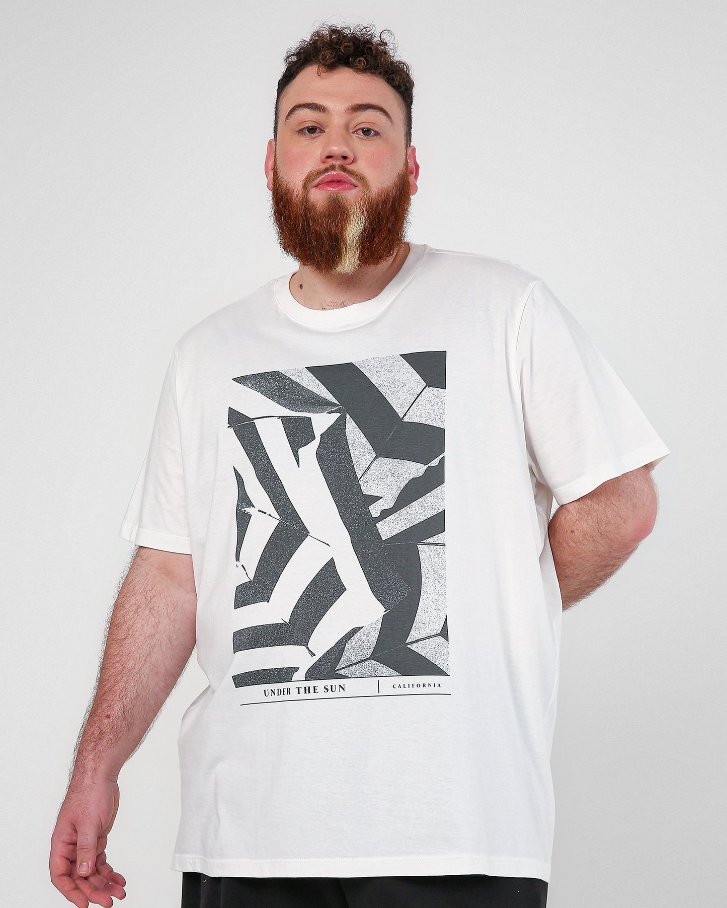 Camiseta branca plus size masculina "Under The Sun" | Allman By Riachuelo
