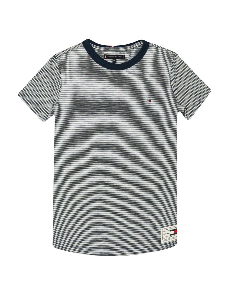 Boy's Tommy Hilfiger Junior Organic Cotton Striped T-Shirt in Blue