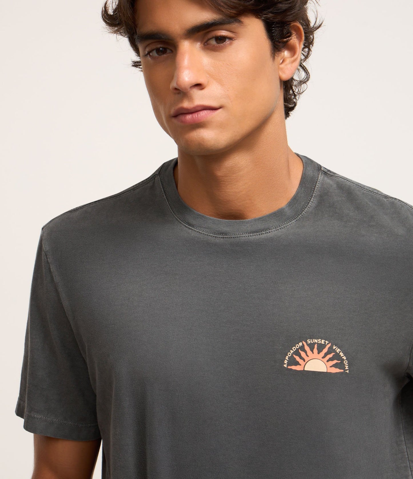 Camiseta Comfort de algodón con efecto lavado y estampado de atardecer en la playa en gris