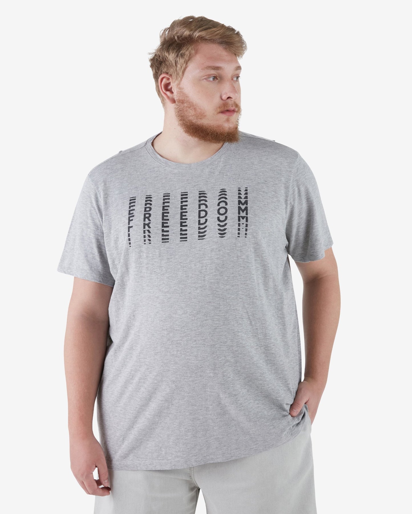 Maglietta Freedom Allman grigia taglie forti