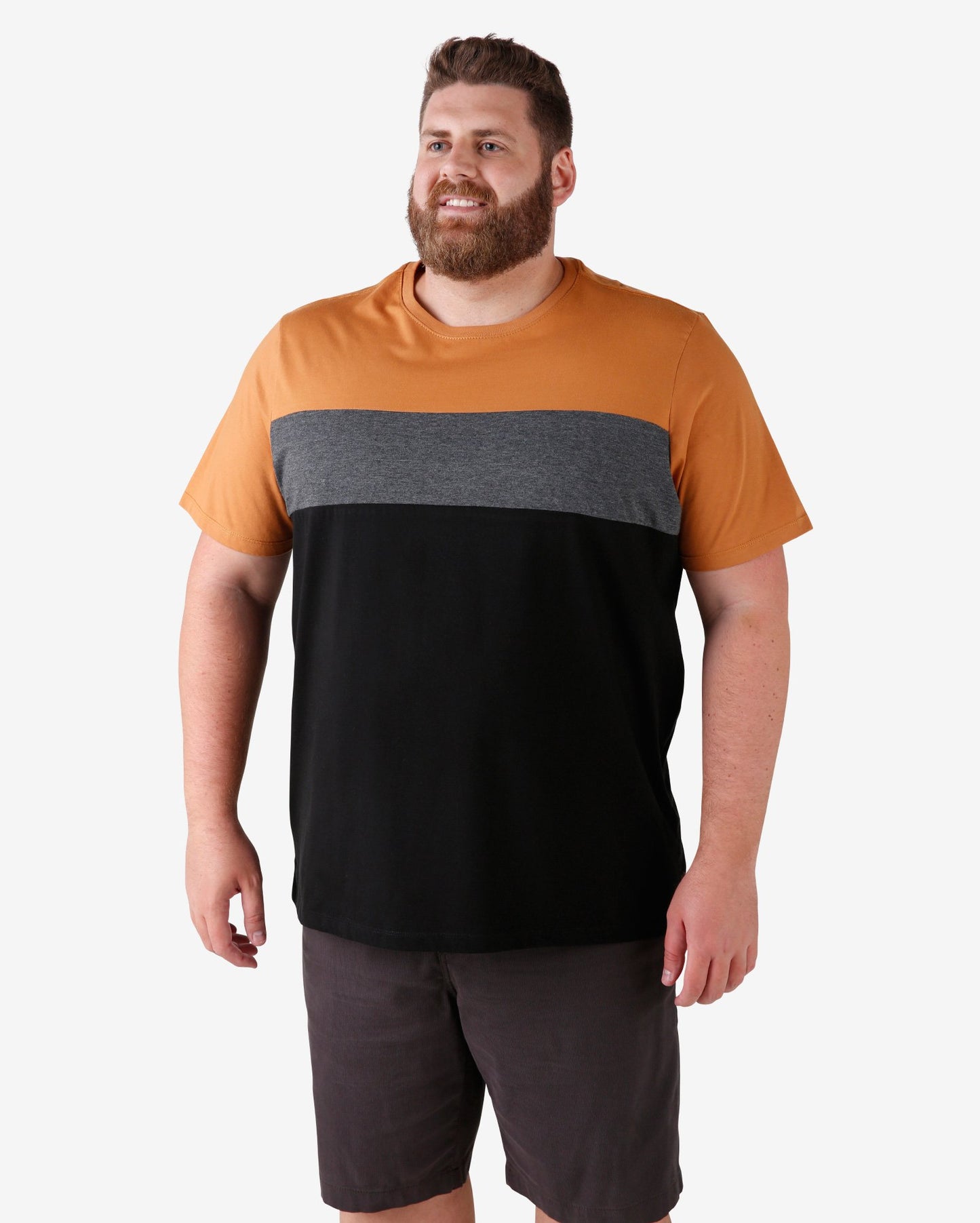 Camiseta Plus Size Color Block - cinza/marrom/preto