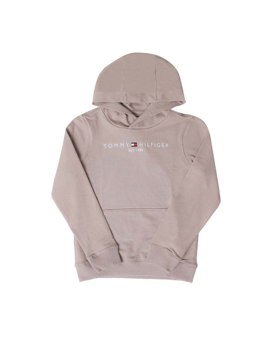 Boy's Tommy Hilfiger Established Essential Logo Hoodie in Cream