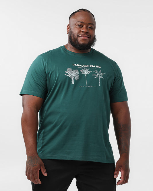 Men's Plus Size Green Palm Tree T-Shirt | Original Plus by Riachuelo