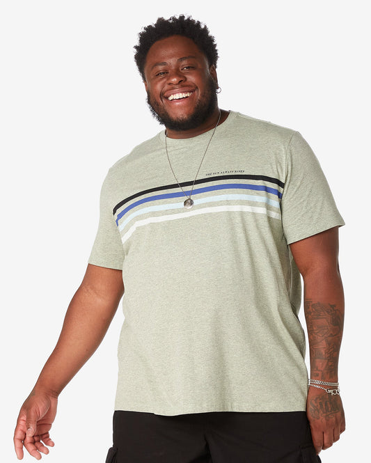 Camiseta masculina de manga curta listrada plus size em verde pistache - Allman By Riachuelo