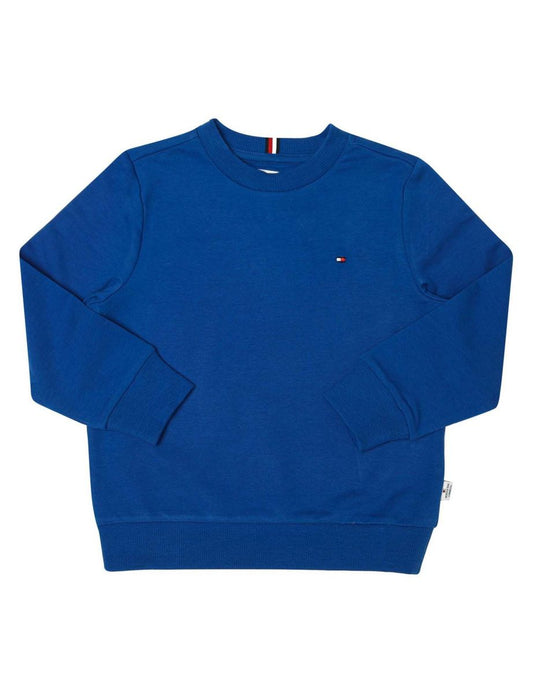Tommy Hilfiger Infant Boy's Crew Neck Sweatshirt in Blue