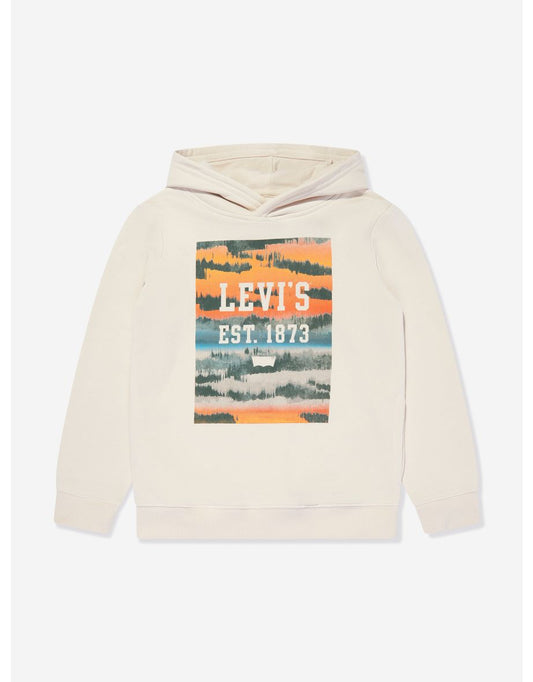 Boys Beige Landscape Print Box Hoodie