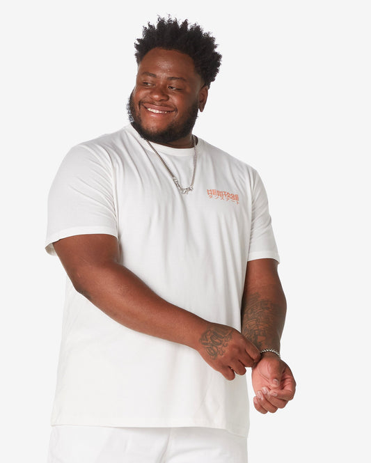 Camiseta masculina Plus Size Short Sleeve Heritage em branco da Allman para Riachuelo